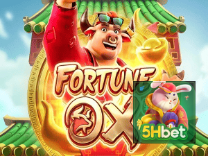 H5BET login — painel de entrada no app oficial